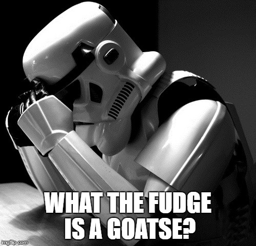 Sad Stormtrooper | WHAT THE FUDGE IS A GOATSE? | image tagged in sad stormtrooper | made w/ Imgflip meme maker