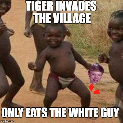 Third World Success Kid Meme | TIGER INVADES THE VILLAGE; ONLY EATS THE WHITE GUY | image tagged in memes,third world success kid,bad luck brian,tiger | made w/ Imgflip meme maker