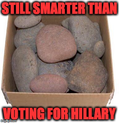 Box of Rocks | STILL SMARTER THAN; VOTING FOR HILLARY | image tagged in box of rocks | made w/ Imgflip meme maker