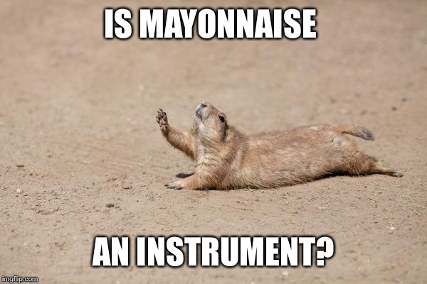 Raise Hand Prairie Dog | IS MAYONNAISE; AN INSTRUMENT? | image tagged in raise hand prairie dog | made w/ Imgflip meme maker