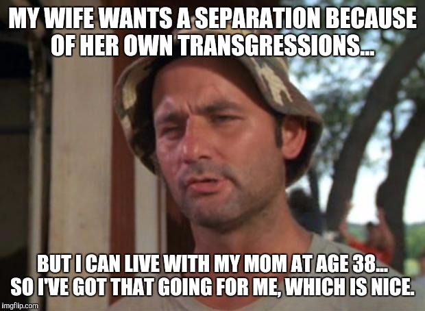 Which is nice  | MY WIFE WANTS A SEPARATION BECAUSE OF HER OWN TRANSGRESSIONS... BUT I CAN LIVE WITH MY MOM AT AGE 38... SO I'VE GOT THAT GOING FOR ME, WHICH IS NICE. | image tagged in which is nice | made w/ Imgflip meme maker