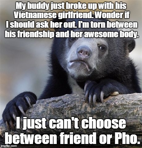 Confession Bear Meme | My buddy just broke up with his Vietnamese girlfriend. Wonder if I should ask her out. I'm torn between his friendship and her awesome body. I just can't choose between friend or Pho. | image tagged in memes,confession bear | made w/ Imgflip meme maker