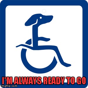 I'M ALWAYS READY TO GO | made w/ Imgflip meme maker