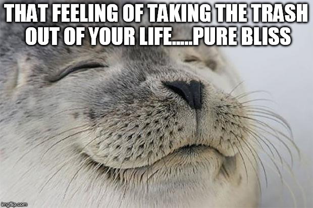 Satisfied Seal Meme | THAT FEELING OF TAKING THE TRASH OUT OF YOUR LIFE.....PURE BLISS | image tagged in memes,satisfied seal | made w/ Imgflip meme maker