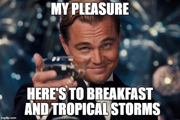 Leonardo Dicaprio Cheers Meme | MY PLEASURE HERE'S TO BREAKFAST  AND TROPICAL STORMS | image tagged in memes,leonardo dicaprio cheers | made w/ Imgflip meme maker