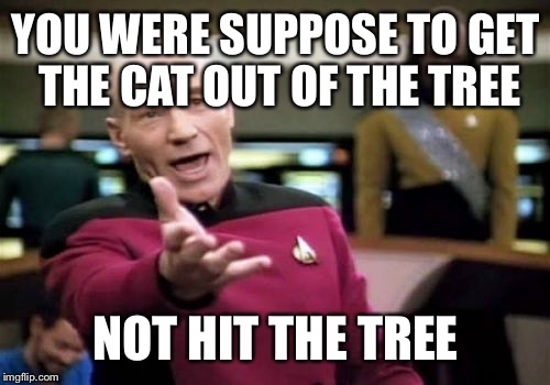 Picard Wtf Meme | YOU WERE SUPPOSE TO GET THE CAT OUT OF THE TREE NOT HIT THE TREE | image tagged in memes,picard wtf | made w/ Imgflip meme maker