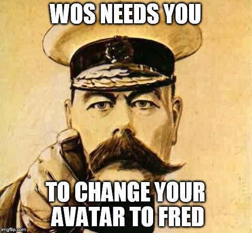 Your Country Needs YOU | WOS NEEDS YOU; TO CHANGE YOUR AVATAR TO FRED | image tagged in your country needs you | made w/ Imgflip meme maker