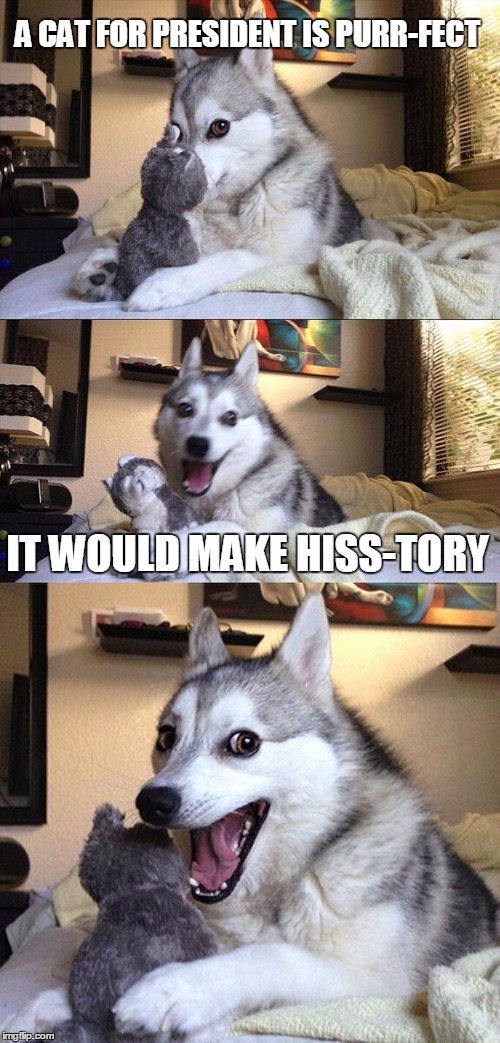 Bad Pun Dog Meme | A CAT FOR PRESIDENT IS PURR-FECT IT WOULD MAKE HISS-TORY | image tagged in memes,bad pun dog | made w/ Imgflip meme maker