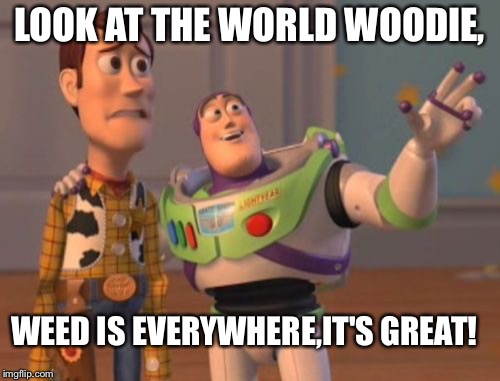 X, X Everywhere Meme | LOOK AT THE WORLD WOODIE, WEED IS EVERYWHERE,IT'S GREAT! | image tagged in memes,x x everywhere | made w/ Imgflip meme maker