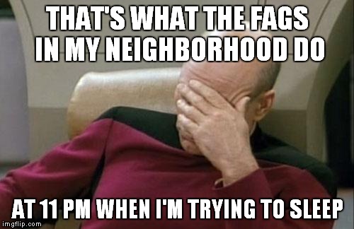 Captain Picard Facepalm Meme | THAT'S WHAT THE F*GS IN MY NEIGHBORHOOD DO AT 11 PM WHEN I'M TRYING TO SLEEP | image tagged in memes,captain picard facepalm | made w/ Imgflip meme maker