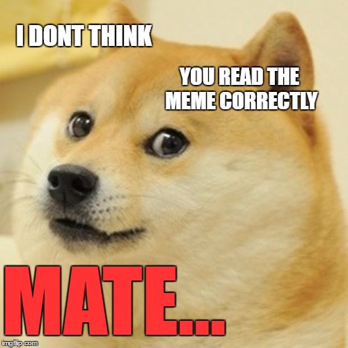 Doge Meme | I DONT THINK YOU READ THE MEME CORRECTLY MATE... | image tagged in memes,doge | made w/ Imgflip meme maker