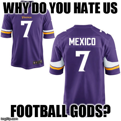 WHY DO YOU HATE US; FOOTBALL GODS? | image tagged in minnesota vikings | made w/ Imgflip meme maker