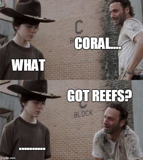 Rick and Carl | CORAL.... WHAT; GOT REEFS? .......... | image tagged in memes,rick and carl | made w/ Imgflip meme maker