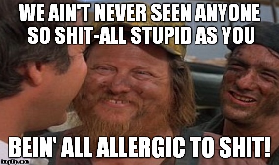 WE AIN'T NEVER SEEN ANYONE SO SHIT-ALL STUPID AS YOU BEIN' ALL ALLERGIC TO SHIT! | made w/ Imgflip meme maker
