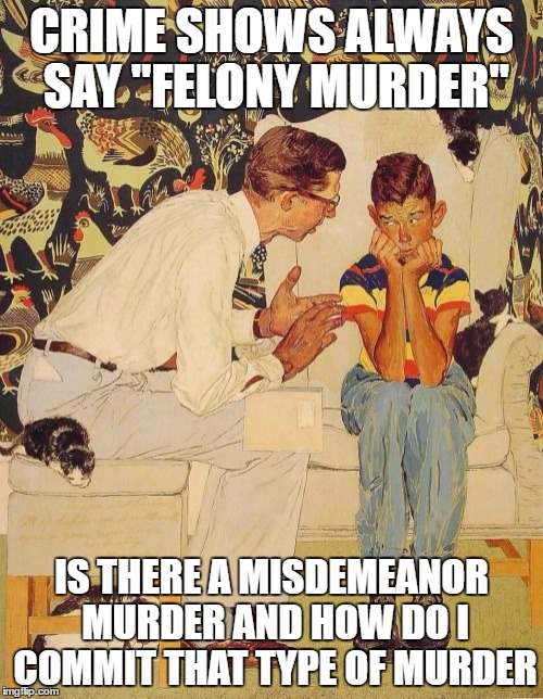 The Problem Is | CRIME SHOWS ALWAYS SAY "FELONY MURDER"; IS THERE A MISDEMEANOR MURDER AND HOW DO I COMMIT THAT TYPE OF MURDER | image tagged in memes,the probelm is | made w/ Imgflip meme maker