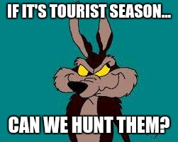 Where do you get licensed for that? | IF IT'S TOURIST SEASON... CAN WE HUNT THEM? | image tagged in wiley c coyote idea,funny memes,funny,hunting,wile e coyote | made w/ Imgflip meme maker
