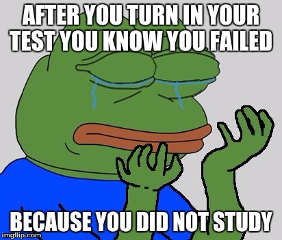 pepe cry | AFTER YOU TURN IN YOUR TEST YOU KNOW YOU FAILED; BECAUSE YOU DID NOT STUDY | image tagged in pepe cry | made w/ Imgflip meme maker