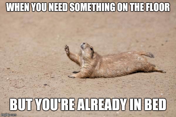 Gopher? | WHEN YOU NEED SOMETHING ON THE FLOOR; BUT YOU'RE ALREADY IN BED | image tagged in gopher,AdviceAnimals | made w/ Imgflip meme maker