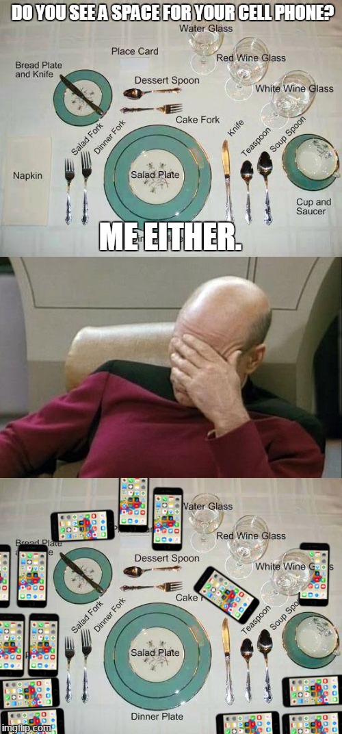 Keep seeing this nonsense on my Facebook... I see plenty.  | DO YOU SEE A SPACE FOR YOUR CELL PHONE? ME EITHER. | image tagged in captain picard facepalm,etiquette | made w/ Imgflip meme maker