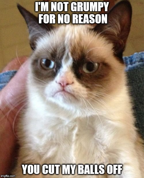 Grumpy Cat Meme | I'M NOT GRUMPY FOR NO REASON; YOU CUT MY BALLS OFF | image tagged in memes,grumpy cat | made w/ Imgflip meme maker