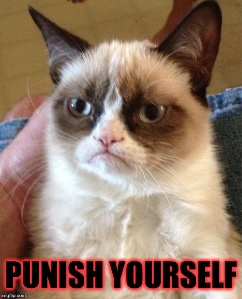 Grumpy Cat Meme | PUNISH YOURSELF | image tagged in memes,grumpy cat | made w/ Imgflip meme maker