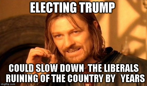 One Does Not Simply Meme | ELECTING TRUMP; COULD SLOW DOWN  THE LIBERALS  RUINING OF THE COUNTRY BY   YEARS | image tagged in memes,one does not simply | made w/ Imgflip meme maker
