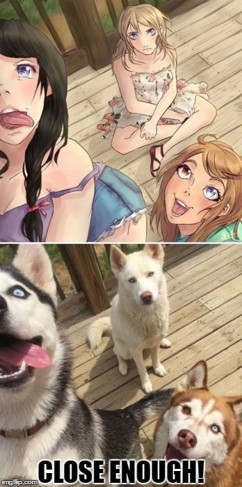 Whoever Did Made This Picture Is A Genuis | CLOSE ENOUGH! | image tagged in memes,funny,dogs,close enough,girls,anime | made w/ Imgflip meme maker