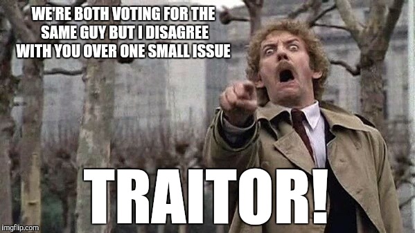 People are getting to wrapped up in this election | WE'RE BOTH VOTING FOR THE SAME GUY BUT I DISAGREE WITH YOU OVER ONE SMALL ISSUE; TRAITOR! | image tagged in horror | made w/ Imgflip meme maker