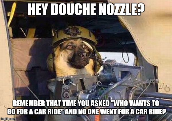 Door Gunner Dog | HEY DOUCHE NOZZLE? REMEMBER THAT TIME YOU ASKED "WHO WANTS TO GO FOR A CAR RIDE" AND NO ONE WENT FOR A CAR RIDE? | image tagged in door gunner dog,nsfw | made w/ Imgflip meme maker