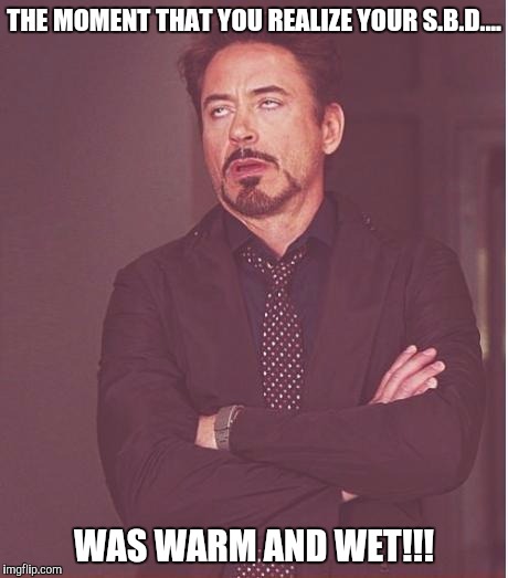 SBD did a job on me now I am real Stinky... | THE MOMENT THAT YOU REALIZE YOUR S.B.D.... WAS WARM AND WET!!! | image tagged in memes,face you make robert downey jr,farts,farting,stinky | made w/ Imgflip meme maker
