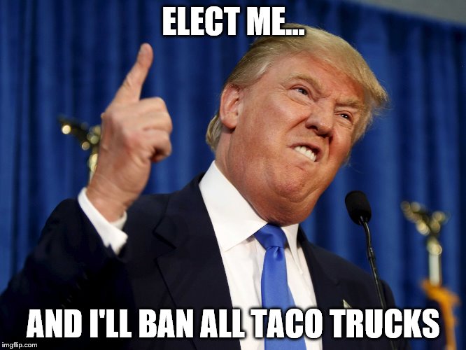 ELECT ME... AND I'LL BAN ALL TACO TRUCKS | image tagged in taco trump | made w/ Imgflip meme maker