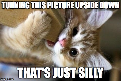 That's just silly cat | TURNING THIS PICTURE UPSIDE DOWN; THAT'S JUST SILLY | image tagged in that's just silly cat | made w/ Imgflip meme maker