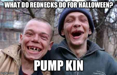 rednecks | WHAT DO REDNECKS DO FOR HALLOWEEN? PUMP KIN | image tagged in rednecks | made w/ Imgflip meme maker