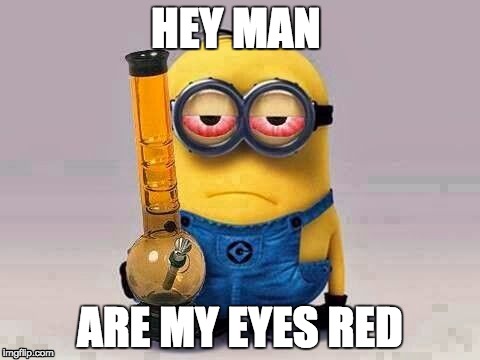 Minion420 | HEY MAN; ARE MY EYES RED | image tagged in minion420 | made w/ Imgflip meme maker