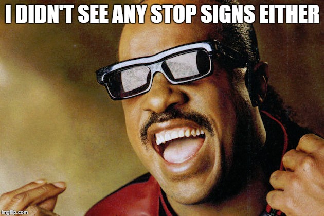 I DIDN'T SEE ANY STOP SIGNS EITHER | made w/ Imgflip meme maker