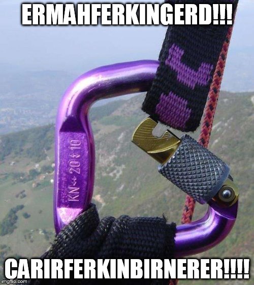 FERKIN SHERT | ERMAHFERKINGERD!!! CARIRFERKINBIRNERER!!!! | image tagged in ermahgerd | made w/ Imgflip meme maker