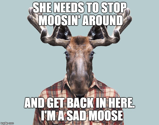 SHE NEEDS TO STOP MOOSIN' AROUND AND GET BACK IN HERE. 
I'M A SAD MOOSE | made w/ Imgflip meme maker