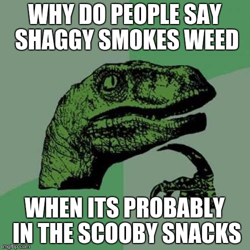 Philosoraptor Meme | WHY DO PEOPLE SAY SHAGGY SMOKES WEED; WHEN ITS PROBABLY IN THE SCOOBY SNACKS | image tagged in memes,philosoraptor | made w/ Imgflip meme maker