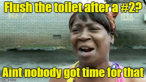 Ain't Nobody Got Time For That Meme | Flush the toilet after a #2? Aint nobody got time for that | image tagged in memes,aint nobody got time for that | made w/ Imgflip meme maker