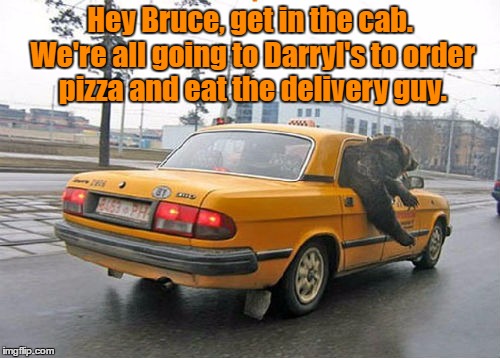 Bear Scams | Hey Bruce, get in the cab. We're all going to Darryl's to order pizza and eat the delivery guy. | image tagged in memes,bear,cab | made w/ Imgflip meme maker