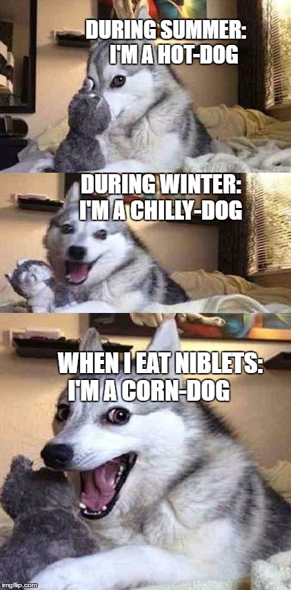 Dog Joke | DURING SUMMER:              I'M A HOT-DOG; DURING WINTER:       I'M A CHILLY-DOG; WHEN I EAT NIBLETS: I'M A CORN-DOG | image tagged in dog joke | made w/ Imgflip meme maker