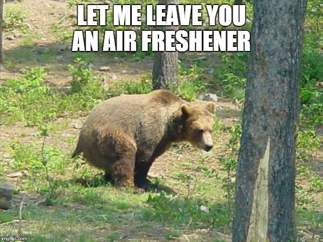 LET ME LEAVE YOU AN AIR FRESHENER | made w/ Imgflip meme maker