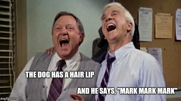 THE DOG HAS A HAIR LIP AND HE SAYS, "MARK MARK MARK" | made w/ Imgflip meme maker