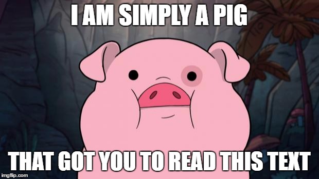 Gravity Falls | I AM SIMPLY A PIG; THAT GOT YOU TO READ THIS TEXT | image tagged in gravity falls | made w/ Imgflip meme maker