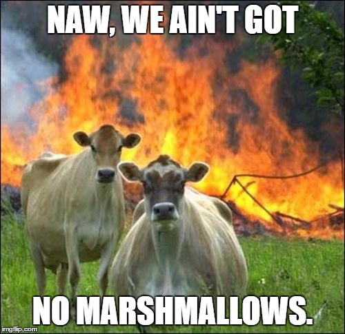 No Marshmallows. | NAW, WE AIN'T GOT; NO MARSHMALLOWS. | image tagged in memes,evil cows,marshmallows,mean mugging | made w/ Imgflip meme maker