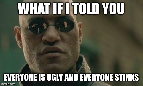 Matrix Morpheus Meme | WHAT IF I TOLD YOU EVERYONE IS UGLY AND EVERYONE STINKS | image tagged in memes,matrix morpheus | made w/ Imgflip meme maker