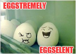 EGGSTREMELY EGGSELENT | made w/ Imgflip meme maker