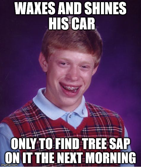 Bad Luck Brian Meme | WAXES AND SHINES HIS CAR ONLY TO FIND TREE SAP ON IT THE NEXT MORNING | image tagged in memes,bad luck brian | made w/ Imgflip meme maker