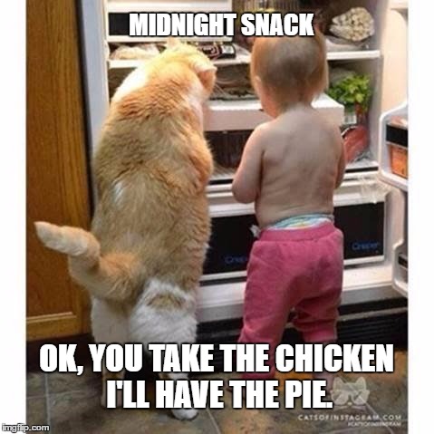 MIDNIGHT SNACK | MIDNIGHT SNACK; OK, YOU TAKE THE CHICKEN I'LL HAVE THE PIE. | image tagged in midnight snack | made w/ Imgflip meme maker