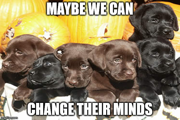 MAYBE WE CAN CHANGE THEIR MINDS | made w/ Imgflip meme maker